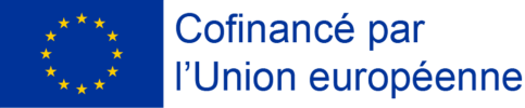 Logo FSE